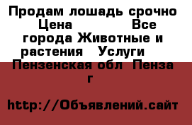 Продам лошадь срочно › Цена ­ 30 000 - Все города Животные и растения » Услуги   . Пензенская обл.,Пенза г.